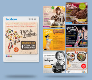 VDL's social media banner designs